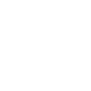 Florida Arts and Culture Logo - White Vertical-Square