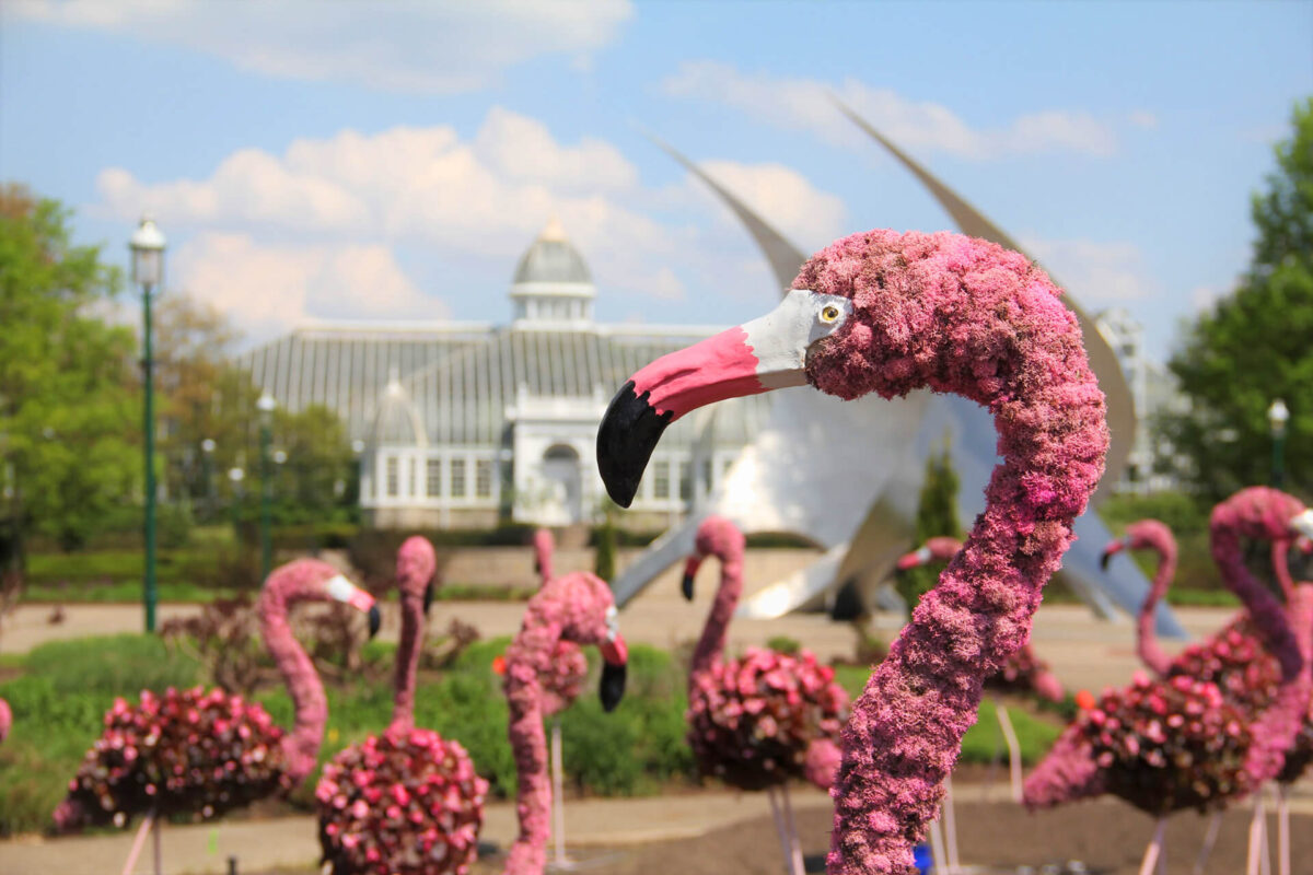 Image from Franklin Park Conservatory's presentation