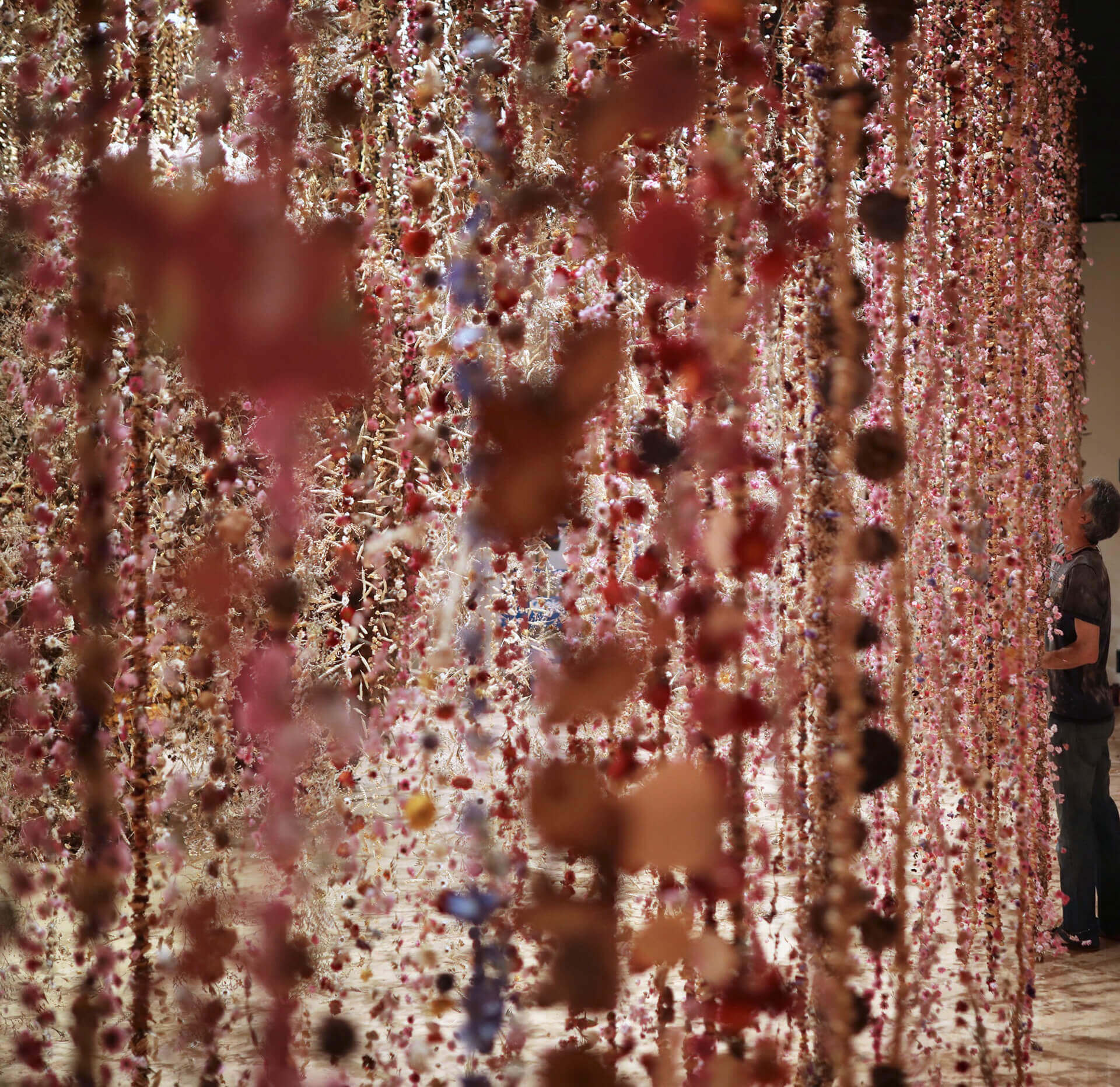 REBECCA LOUISE LAW: THE JOURNEY