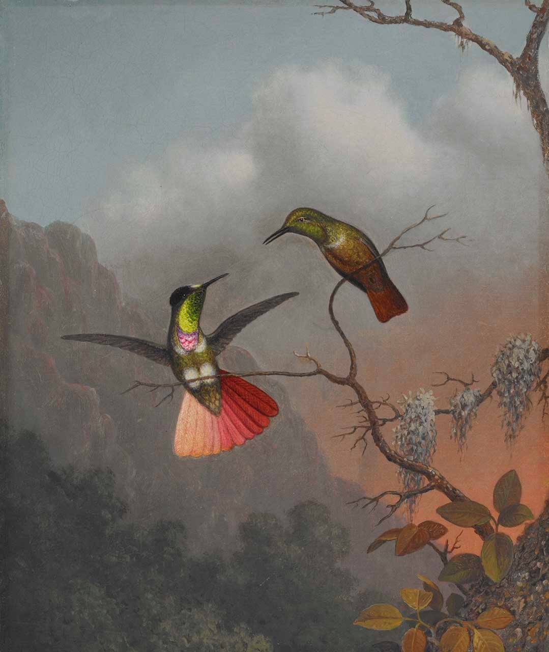 orchid-three_brazilian-humming-bird-after-martin_johnson_heade-cattleya-8x10300_1