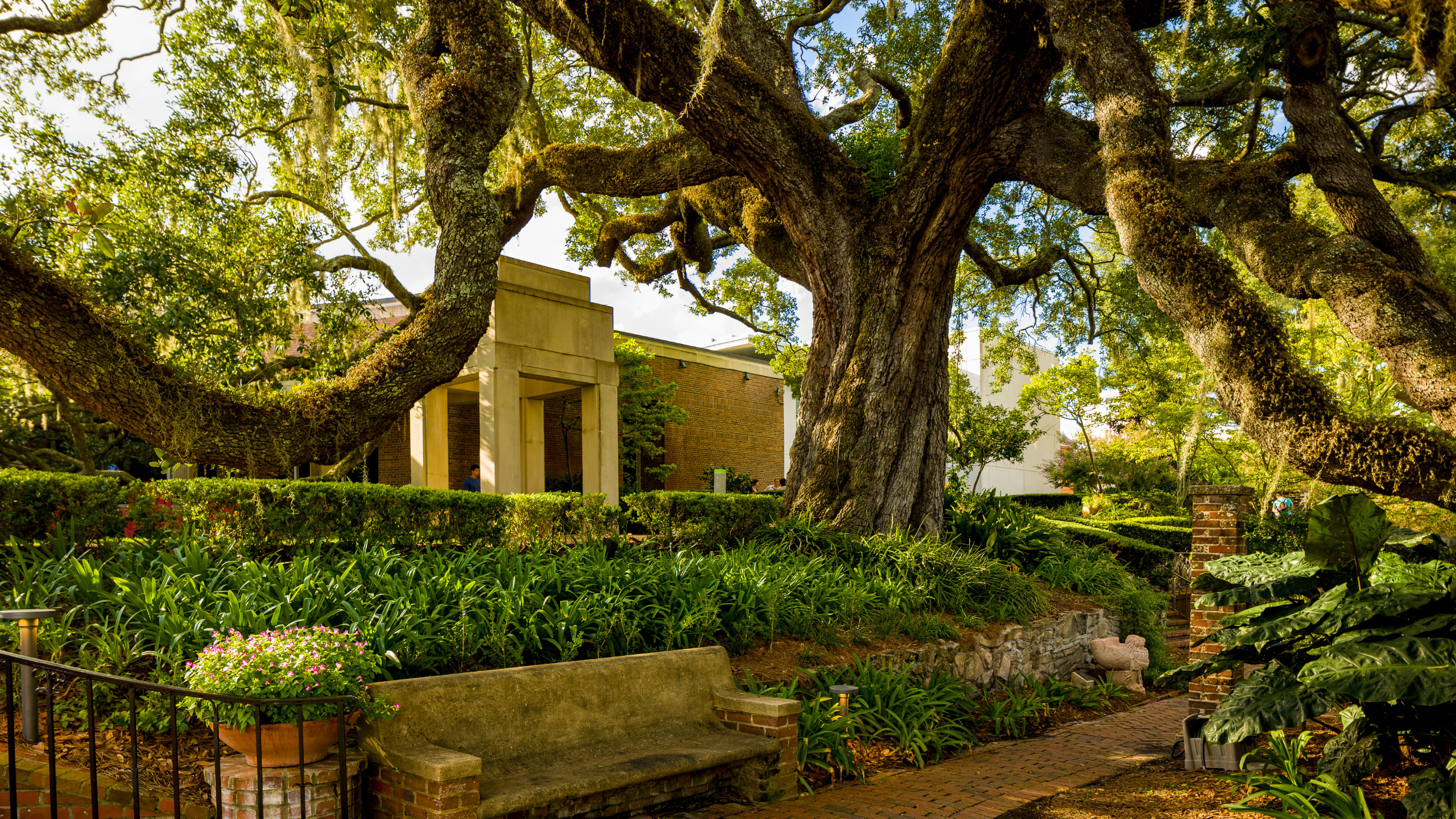 Cummer Museum Jacksonville Wedding
