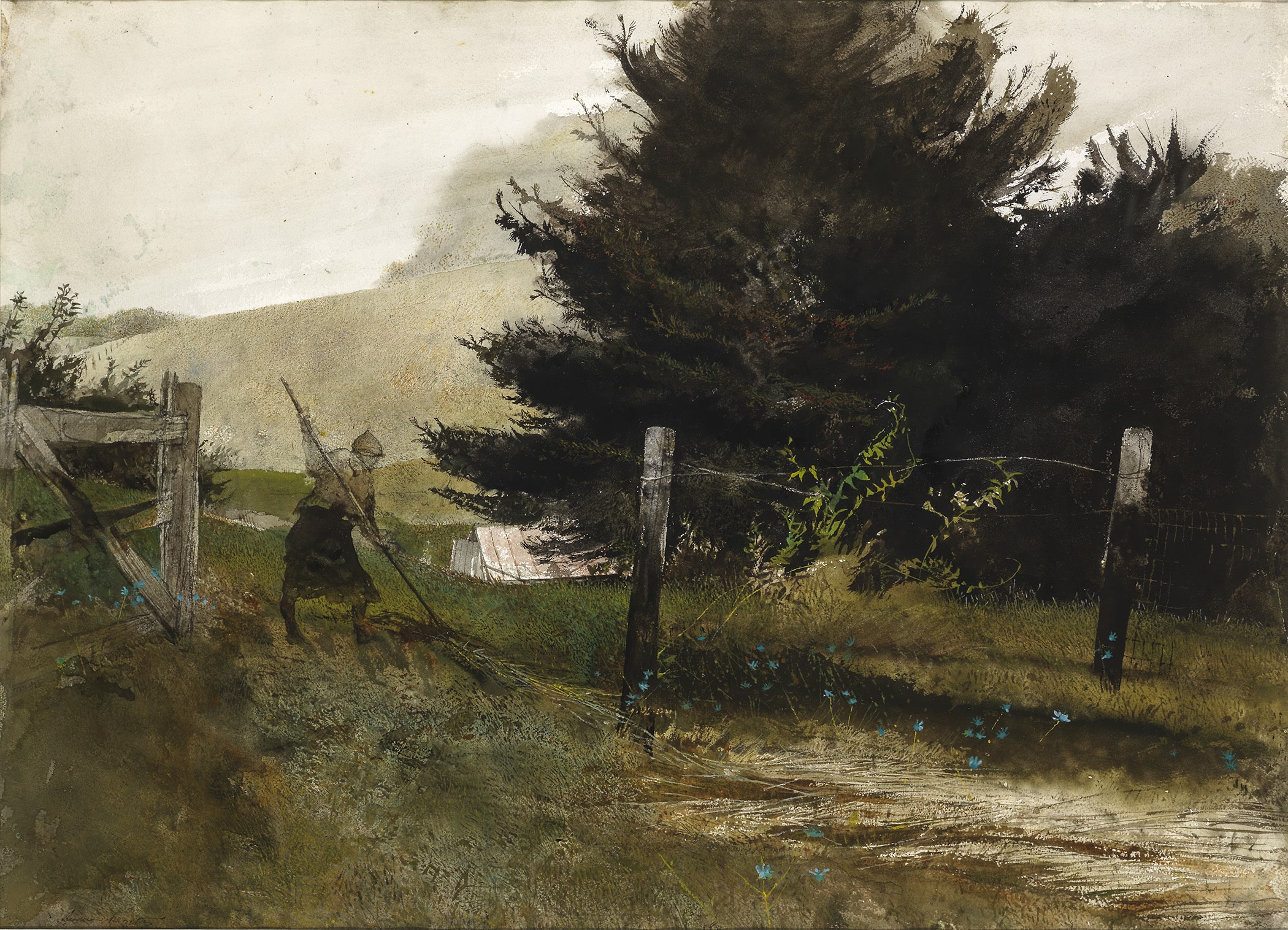 Andrew Wyeth at Kuerner Farm: The Eye of the Earth 
