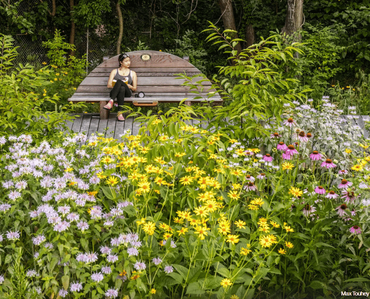 A visitor seated on a wooden bench surrounded by colorful wildflowers and lush garden plants